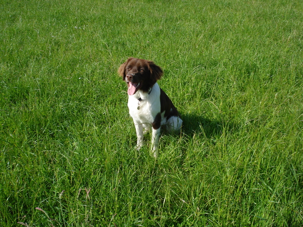 Marienwaerdt 10-05-2009 1287