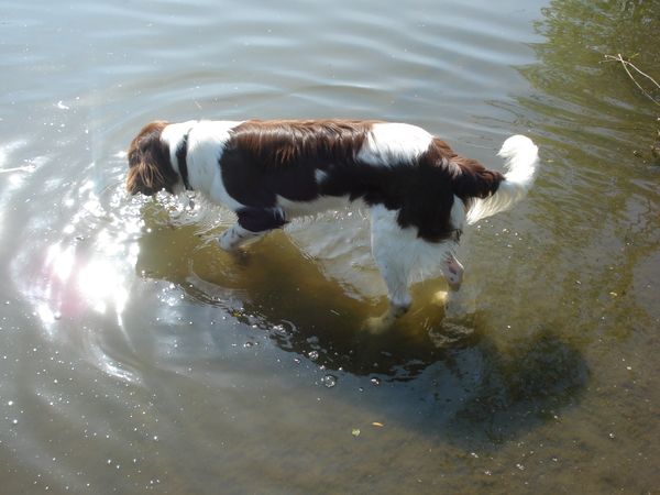 Marienwaerdt 10-05-2009 1294