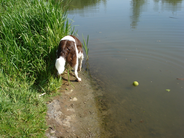 Marienwaerdt 10-05-2009 1295