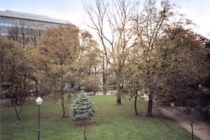park 2