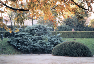 park 3