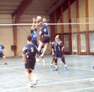 volley in park