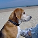 Cadzand Mei 2008 001