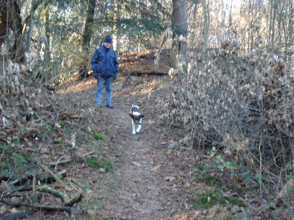 Het Panbos bij de Bilt 26-12-2008 625