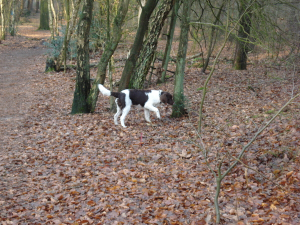 Renkum 06-02-2009 761