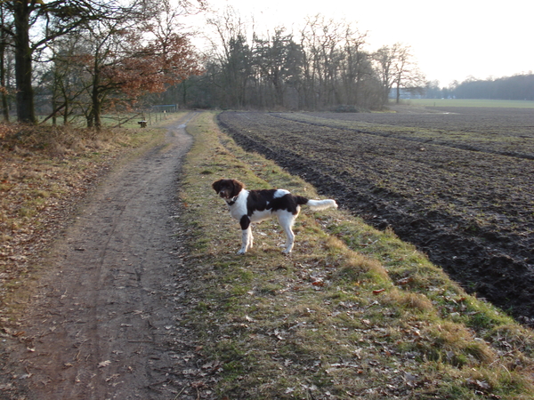 Renkum 06-02-2009 771