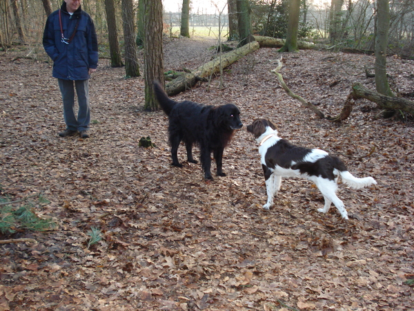 Renkum 06-02-2009 773