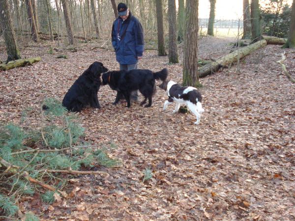 Renkum 06-02-2009 774