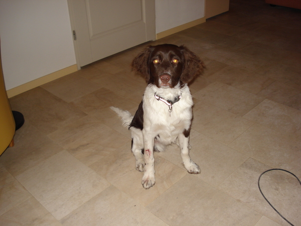 Renkum 06-02-2009 775