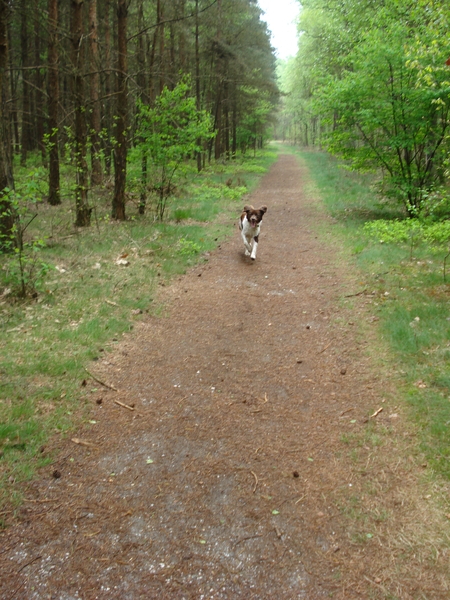 Austerlitz 26-04-2009 1184