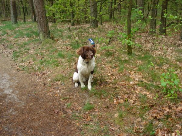 Austerlitz 26-04-2009 1185