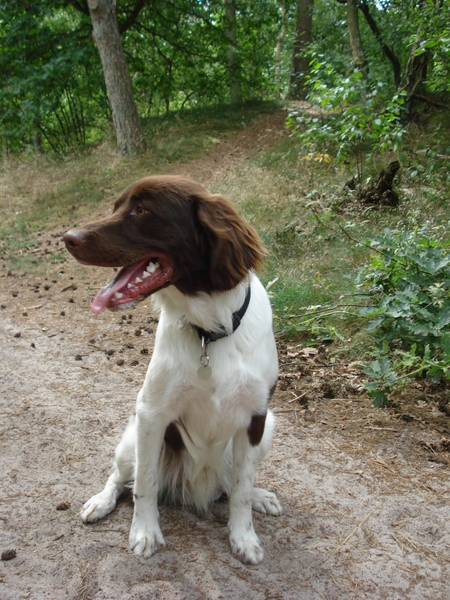 Giersbergen 06-07-2009 1573