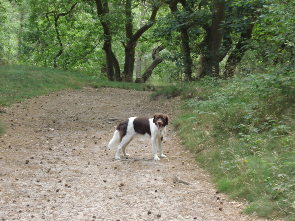 Giersbergen 06-07-2009 1574