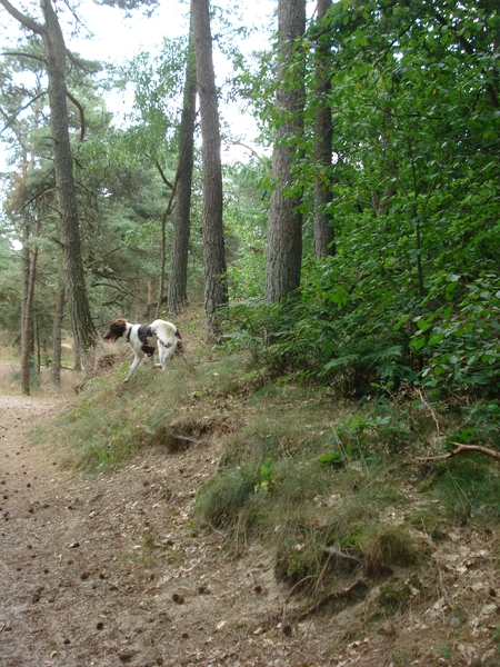 Giersbergen 06-07-2009 1583