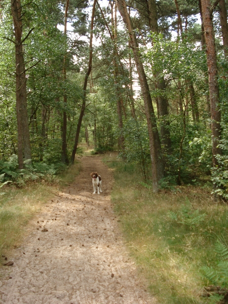Giersbergen 06-07-2009 1588
