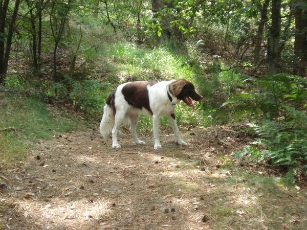 Giersbergen 06-07-2009 1591