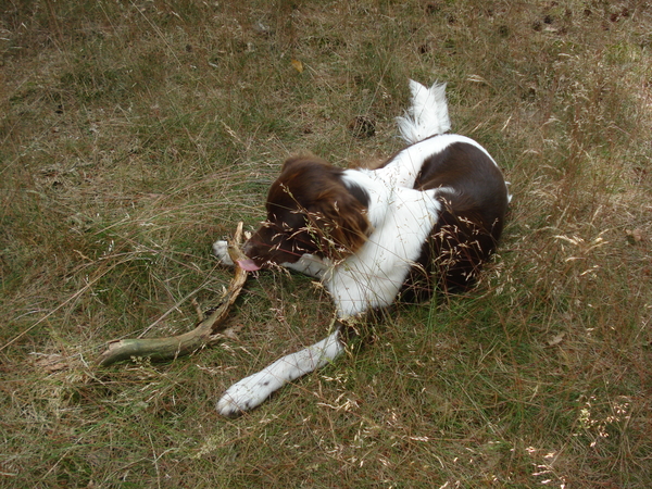 Giersbergen 06-07-2009 1595