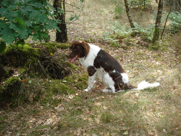 Giersbergen 06-07-2009 1596