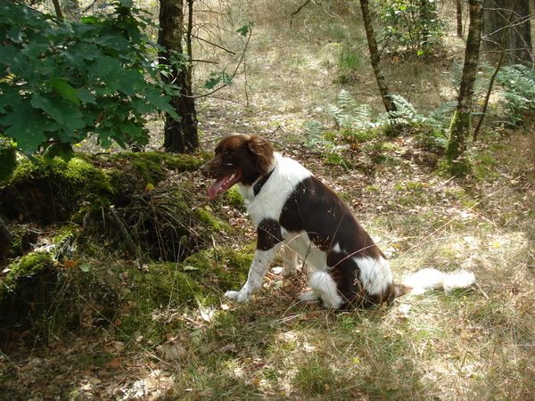 Giersbergen 06-07-2009 1597
