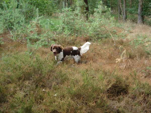 Giersbergen 06-07-2009 1599