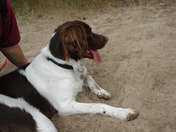 Giersbergen 06-07-2009 1600