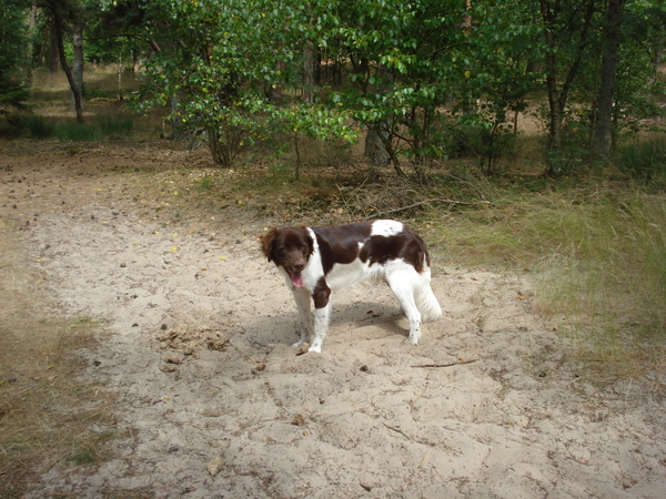 Giersbergen 06-07-2009 1602