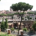 Rome 2009191