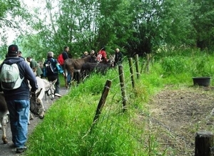LOKEREN 09 050