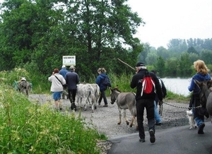 LOKEREN 09 075