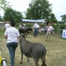 DSCN1326