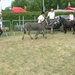 DSCN1345