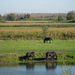 Potpolder Tielrode