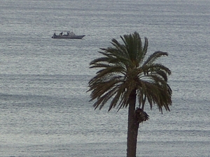 tunesie-2009 029