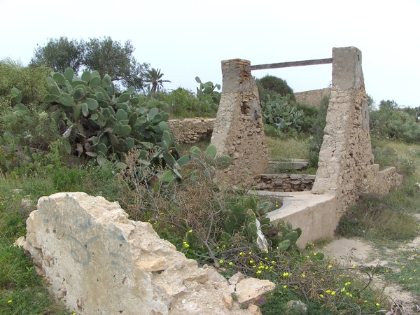tunesie-2009 035