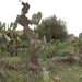 tunesie-2009 040