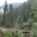 DSCN0053