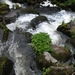 DSCN0071