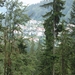 DSC03291
