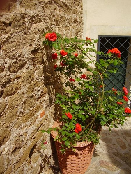 P5060071