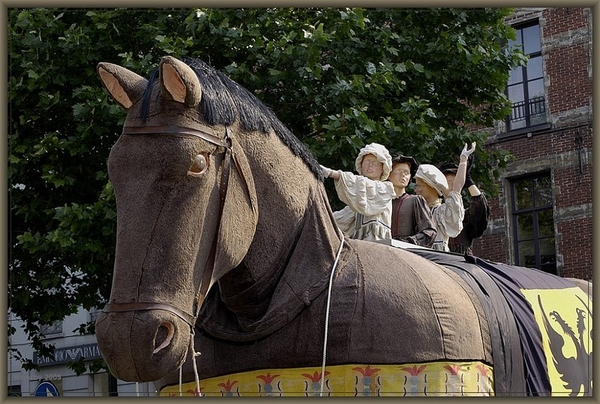 sized_sized_DSC8682a ros beyaard