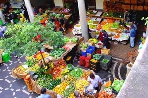 markt madeira