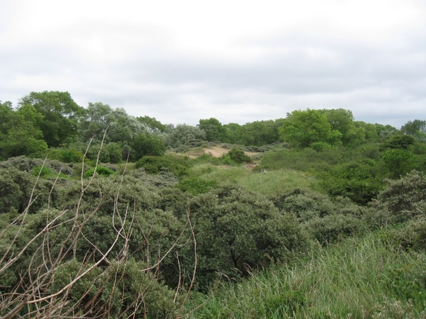 Nieuwpoort aan zee vakantie ZZ Ter Duinen 044