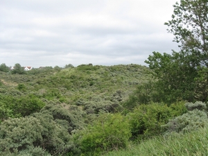 Nieuwpoort aan zee vakantie ZZ Ter Duinen 055