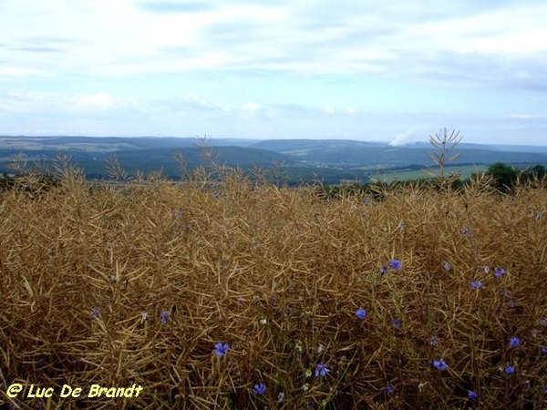 Ardennen Adeps wandeling Feschaux