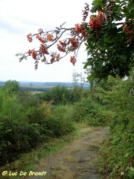 Ardennen Adeps wandeling Feschaux