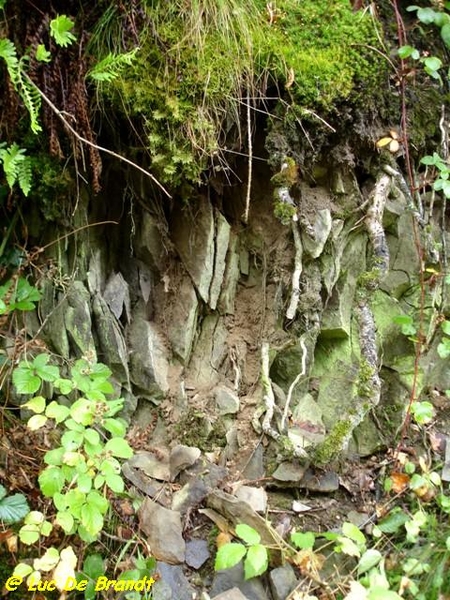 Ardennen Adeps wandeling Feschaux