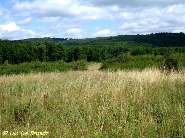 Ardennen Adeps wandeling Feschaux