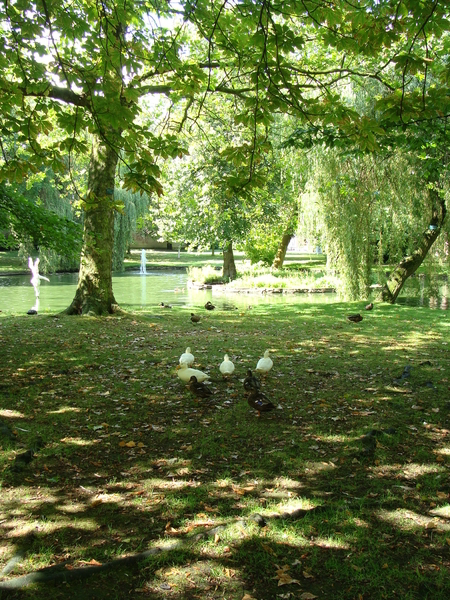 Park