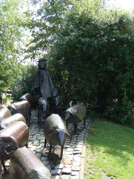 Herder met schapen