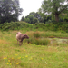 Natuur